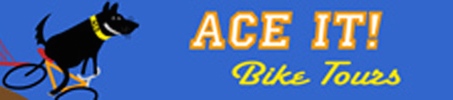 AceIt