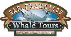 SFWHALETOURSlogo